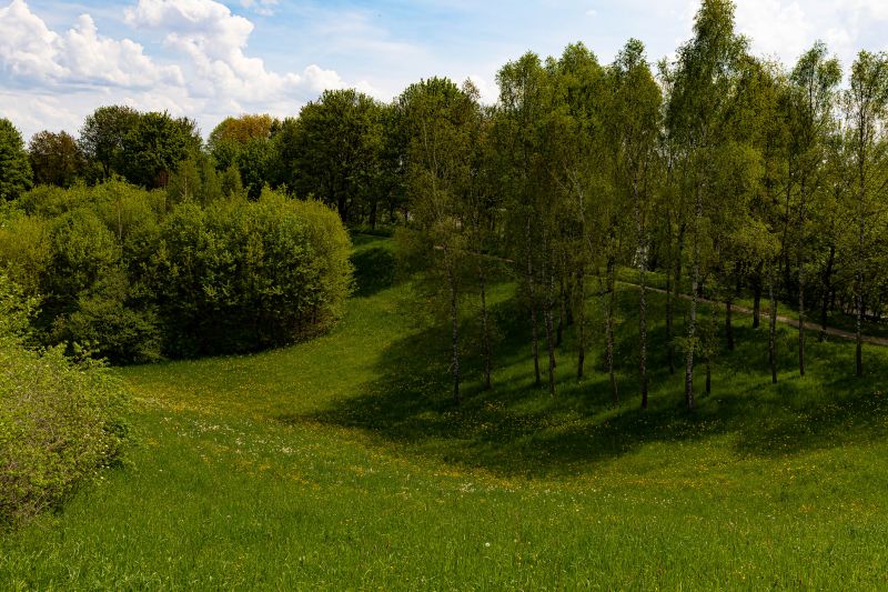 Field Clearing