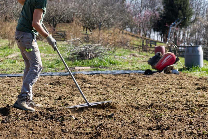Land Clearing Expert at Work